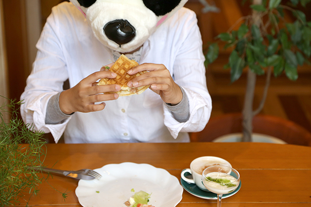panda-lunch-1